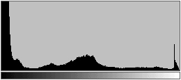 matt histogram.gif (3150 bytes)
